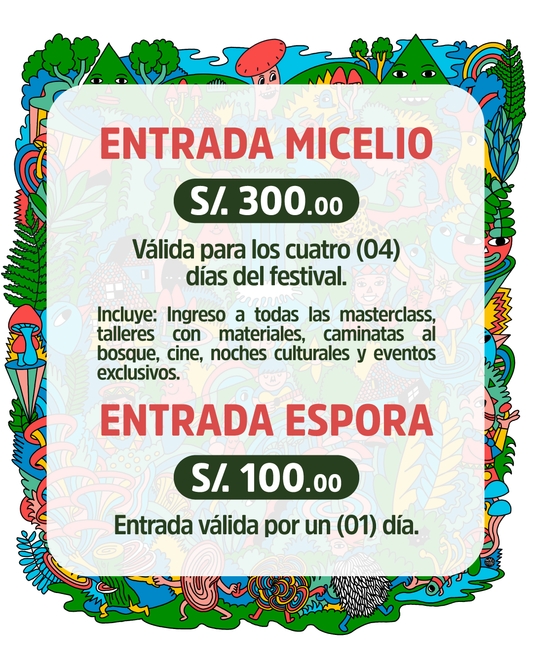 Entrada Micelio